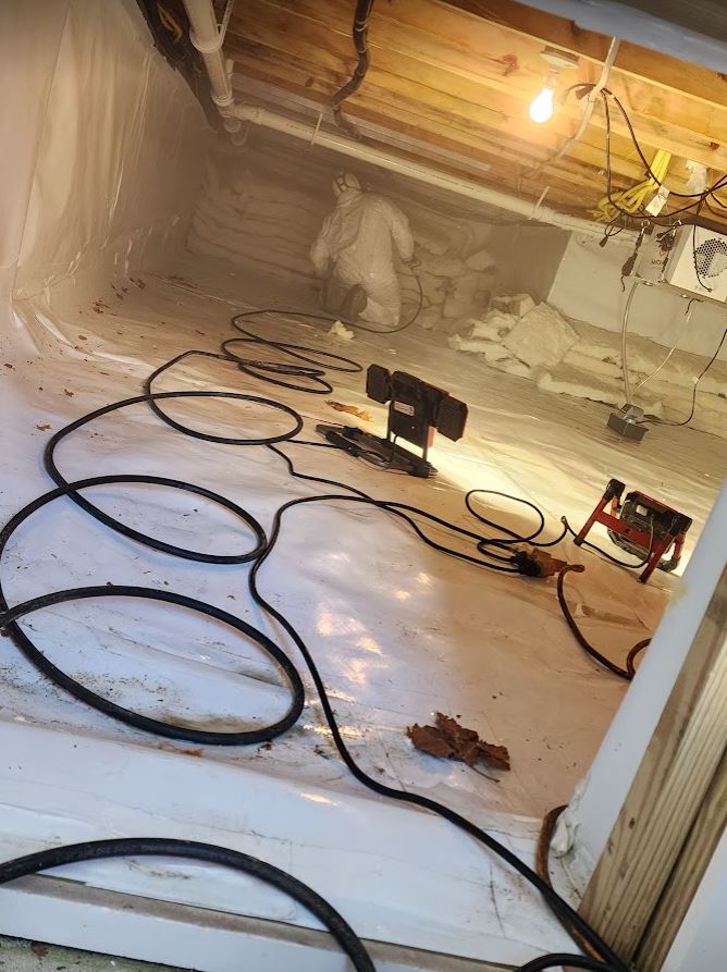 crawl space mold removal in monmouth county new jersey