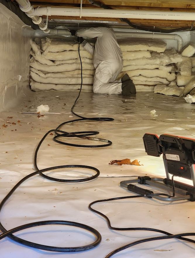 new jersey crawl space mold removal
