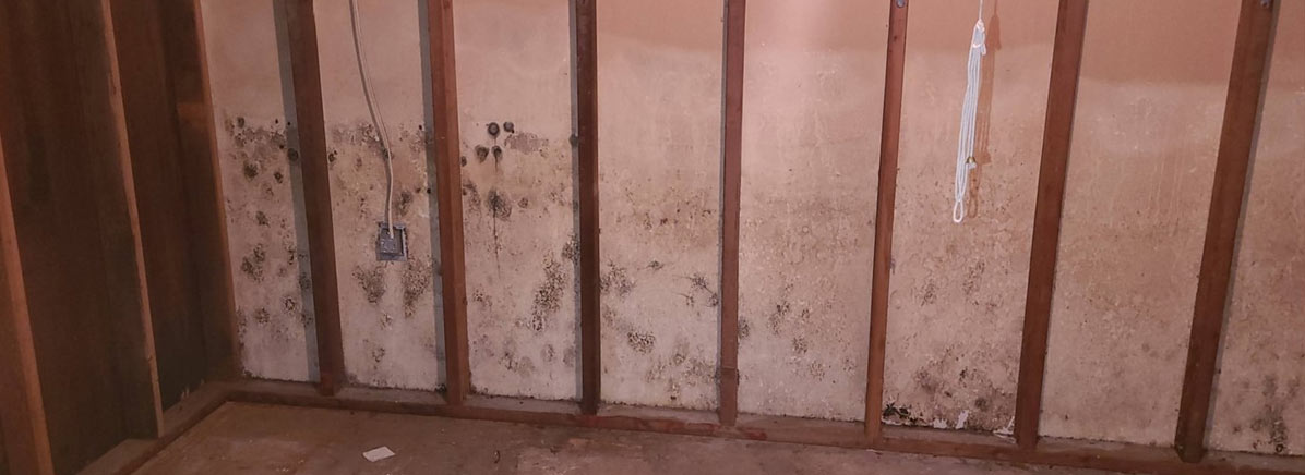 Stop Mold Damage By Controlling Indoor Air Humidity