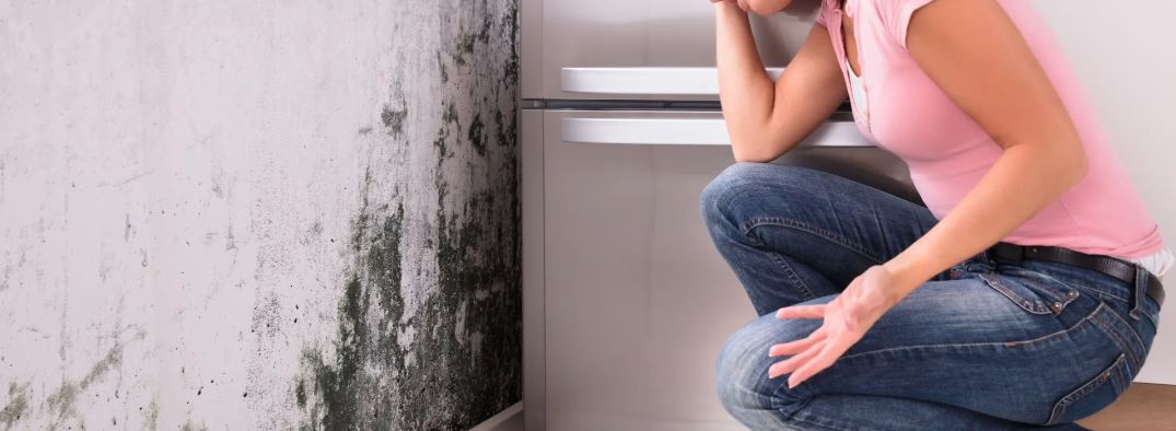 Why Call A Mold Removal Service For Mold In Your NJ Home