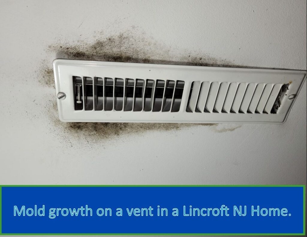 moldy vents in a home in Lincroft, New Jersey