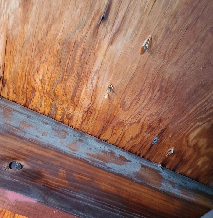 Homeowners with attics in New Jersey should check for mold or any possible leaks in the roof.