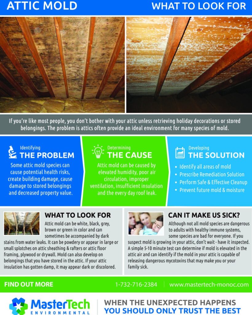 attic mold in new jersey