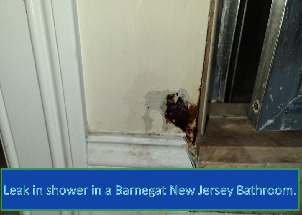 water leaks cause mold Barnegat New Jersey