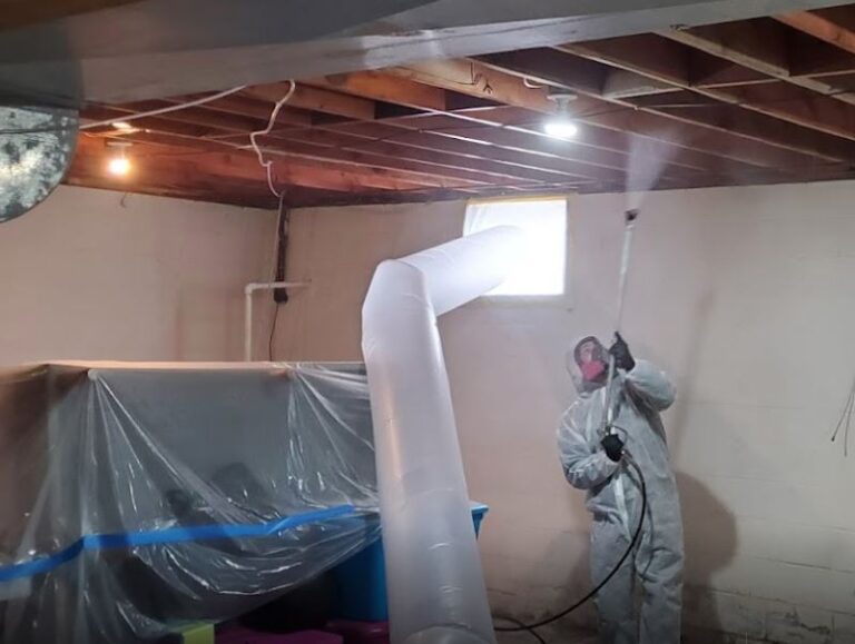 Indoor Air Quality (IAQ) And How It Is Affected By Mold