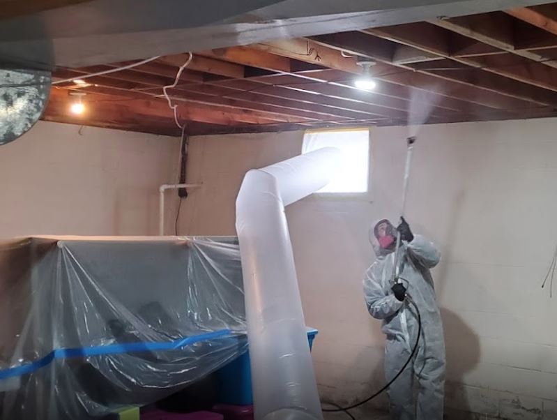 monmouth county new jersey mold removal and indoor air quality experts