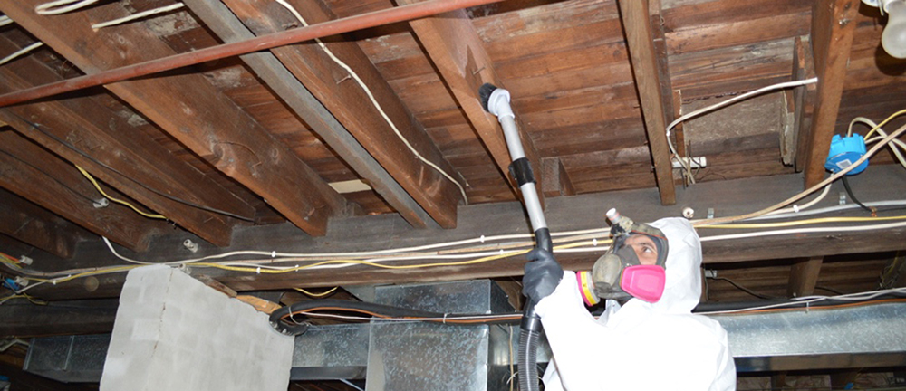 basement Mold Removal in Atlantic Highlands, NJ, 07716, Monmouth County 