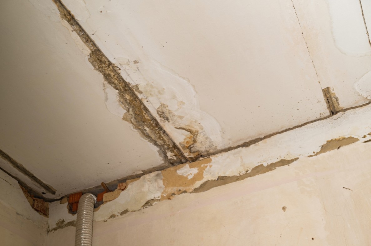 mold remediation in manalapan new jersey