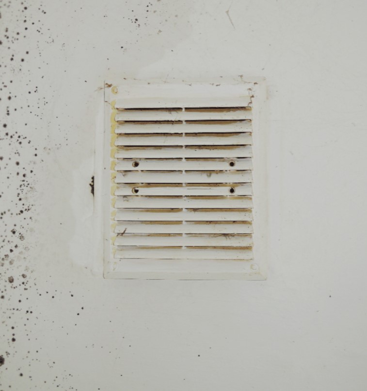 monmouth county ocean county mold in air vents