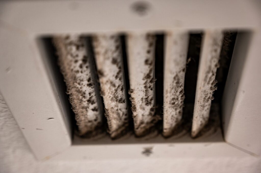 nj air vent mold cleaning