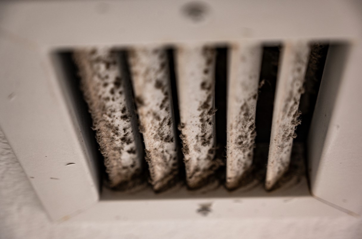 Can Mold In Air Vents Make You Sick?