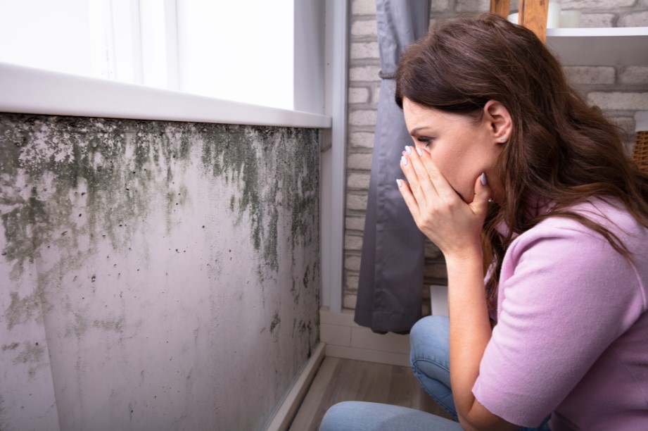 Can I remove mold myself? Here’s the best way to get rid of mold