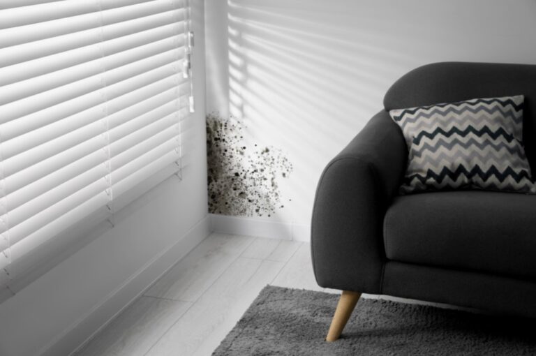 Are Landlords Responsible for Mold in NJ Rental Properties?