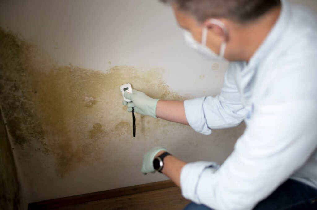 signs that mold is affecting your health