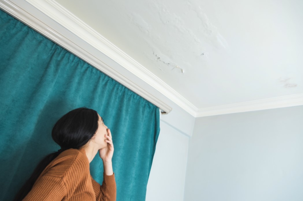 Are Landlords Responsible for Mold in NJ Rental Properties?