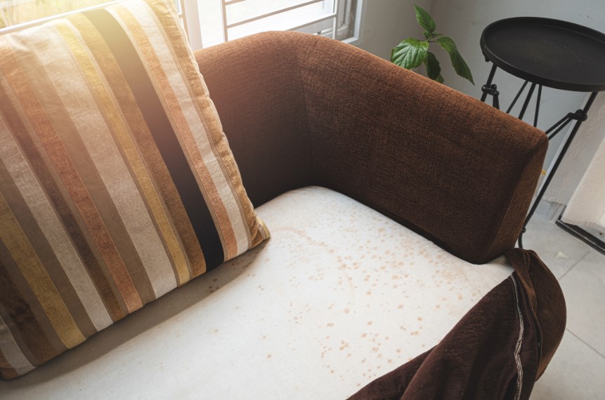 Identifying And Treating Mold On Furniture