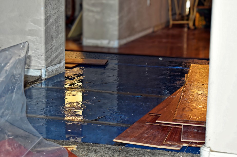 Water Damage and Mold cleanup in new jersey