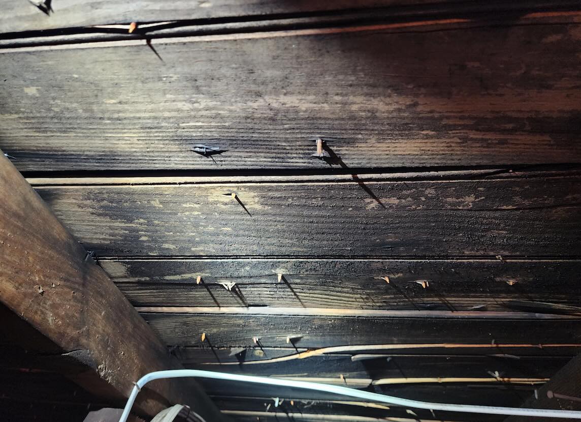 attic mold removal new jersey