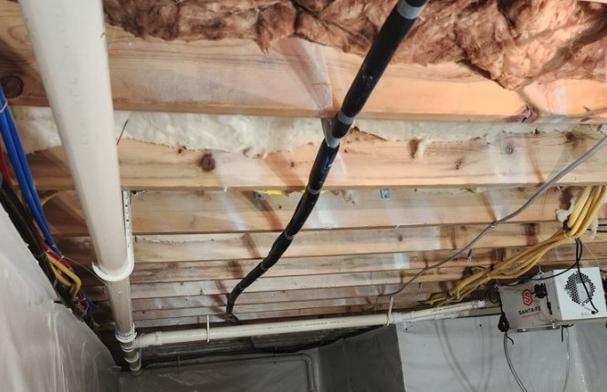 best moldy insulation replacement in new jersey