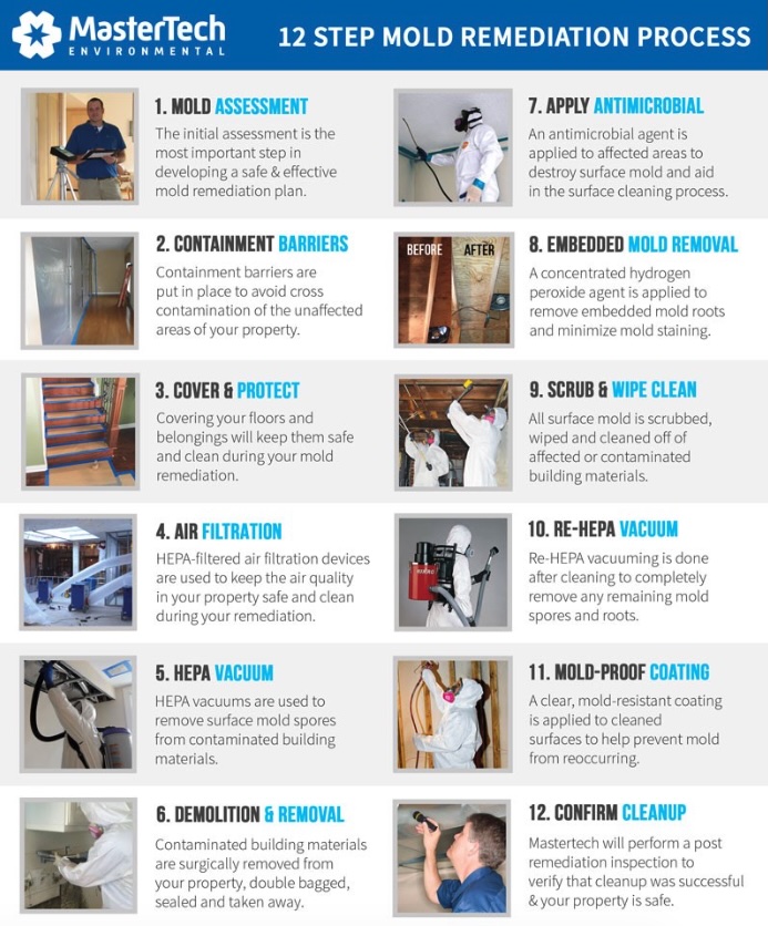 MasterTech Environmental Jersey Shore's mold remediation process flyer