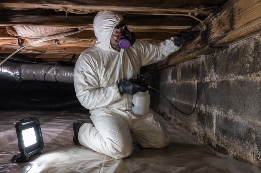 Professional mold remediation technician in a white protective Tyvek suit and respirator treating mold-damaged wood framing inside a damp residential crawl space in New Jersey. The crawl space features concrete block foundation walls, visible moisture, portable work lighting, and encapsulation materials, showcasing expert mold removal and crawl space restoration services throughout Ocean County and surrounding NJ areas.